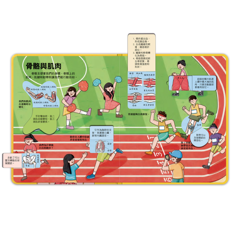 百問百答圖解翻翻書-揭祕身體